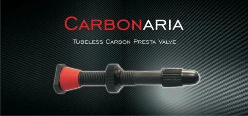 Barbieri Carbonaria Carbon Tubeless Ventile 45mm -Giro Verkaufs-Shop barbieri carbonaria tuebelss ventil 1